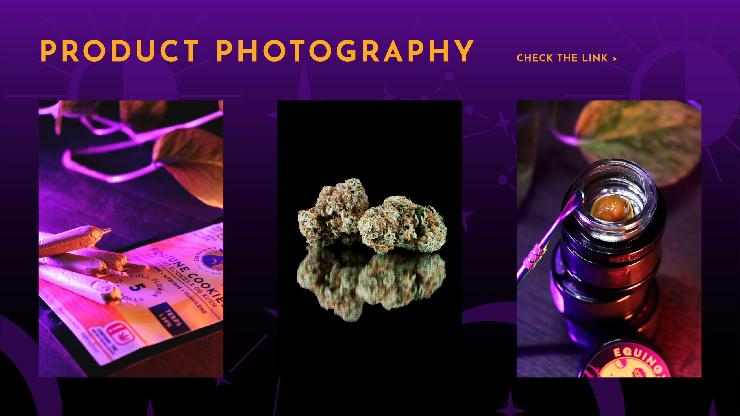 Equinoxx Social Media Kit Bones & Breath
